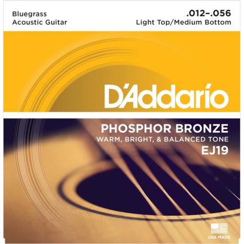 D`ADDARIO EJ19